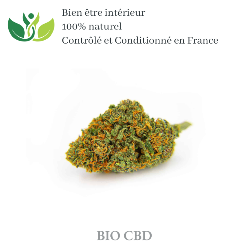 Fleur de CBD orange bud de qualité supérieur variété sativa