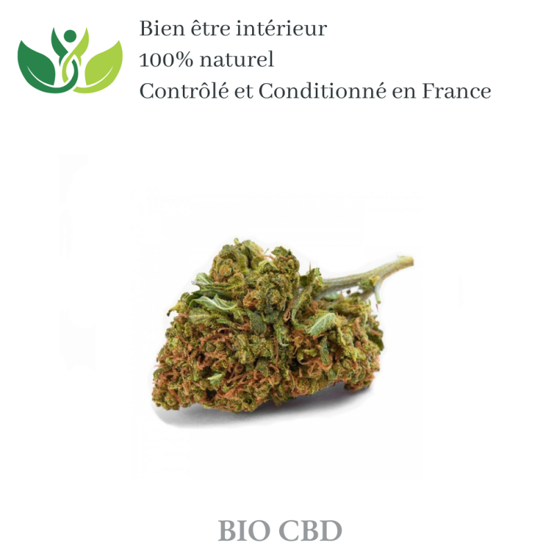 Fleur de CBD strawberry de qualité supérieur variété sativa