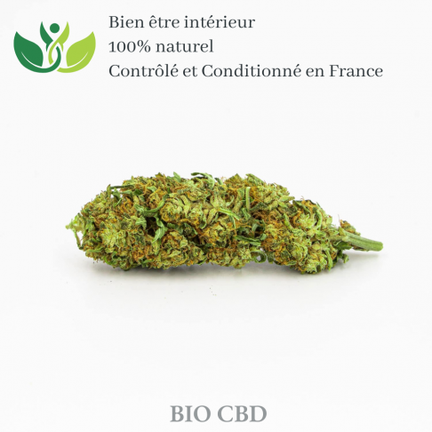 Fleur de CBG de qualité supérieur variété sativa