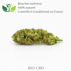 Fleur de CBG de qualité supérieur variété sativa