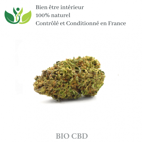 Fleur de CBD sour amnesia de qualité supérieur variété sativa